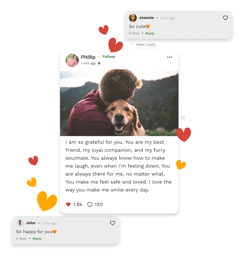 story image